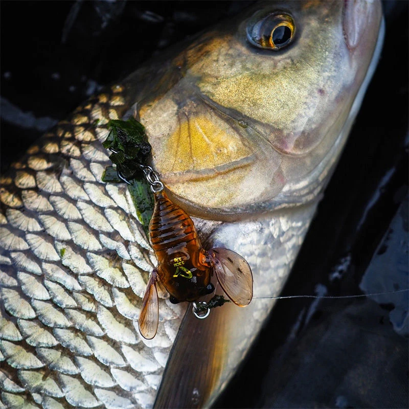 Savage Gear 3D Cicada Lures 3.3cm/3.5g